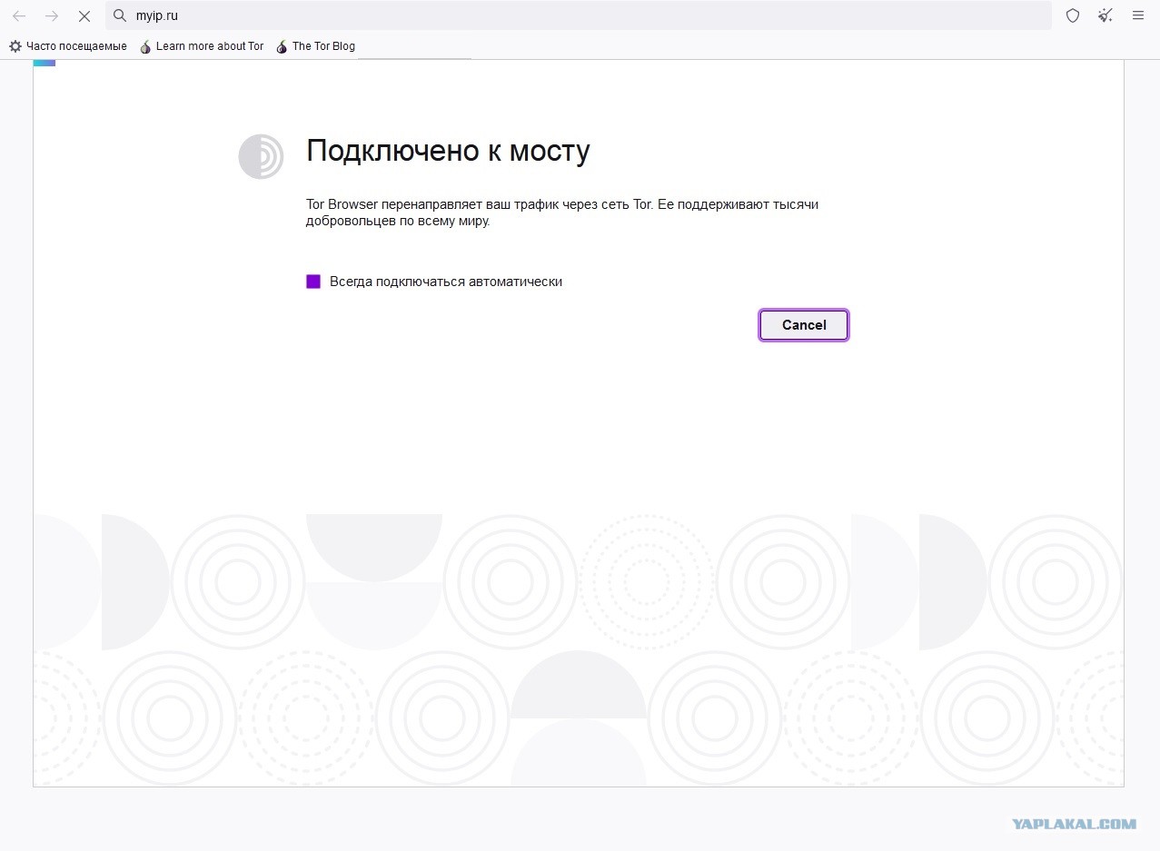 Кракен войти сегодня