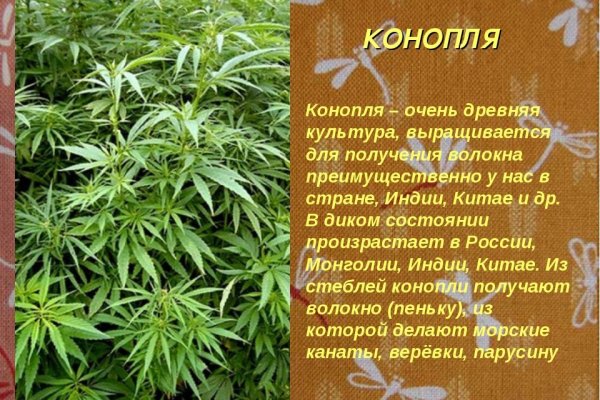 Кракен марке