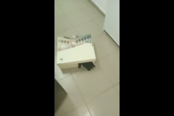Ссылка кракен cc