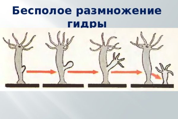 Кракен зеркала krk store com