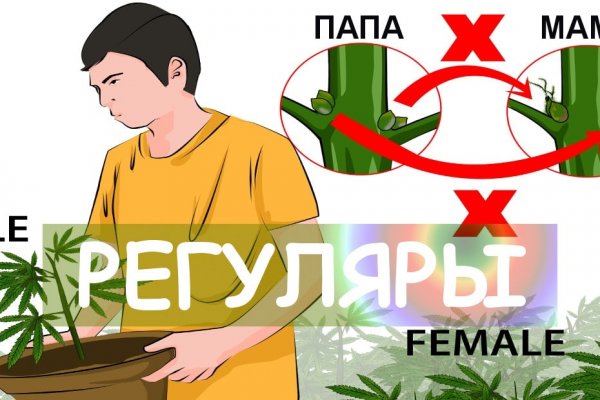 Гидра даркнет рынок