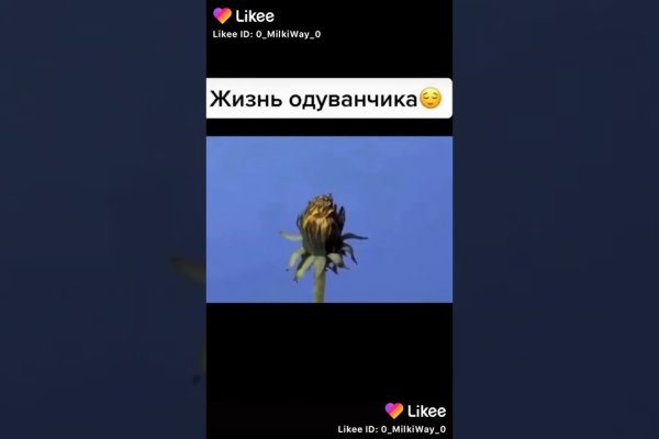 Кракен маркет даркнет только через торг