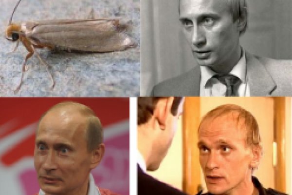 Кракен сайт покупок