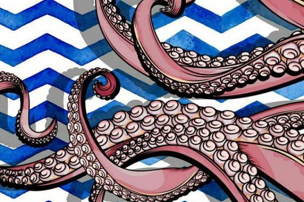 Kraken 24 at
