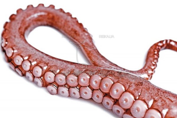 Kraken даркнет рынок ссылка